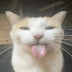 sitham