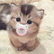 Meow Meow