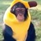 jayze