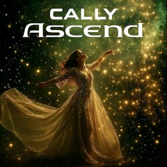 Dj/Mc-Cally