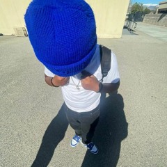 mr_bagchaser