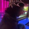 yungfuego archive