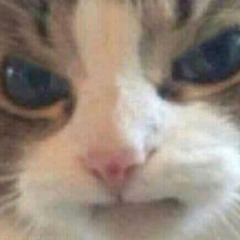 Murfieus