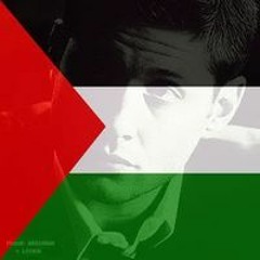 Mahmoud Elkholy