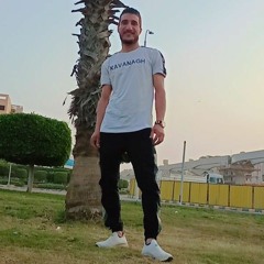 ربيع مهدي