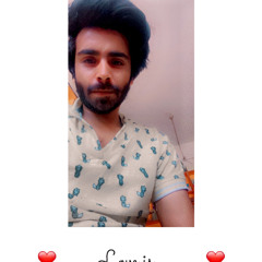 Wajid Hussain