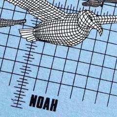 C.Noah