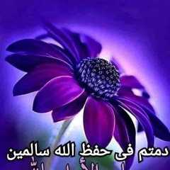 nay roz