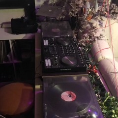 Schleifer funKtAsTiC