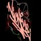 NICKYE HIP HOP
