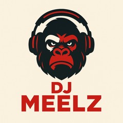 DJ Meelz