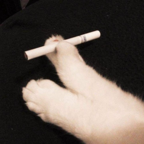 Có Không Giữ Mất Đừng Tìm Beat - Trúc Nhân (wav file)