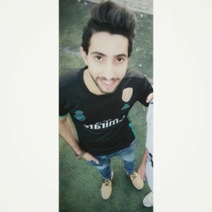 Mahmoud Ali Habiba