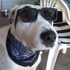 Renee Leanne Hendrick