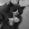 .↝˓𝓦𝓱𝓲𝓽𝓮 𝓞𝓬𝓮𝓪𝓷˒↜.