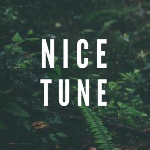 Nice Tune’s avatar