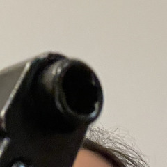crangagelypté