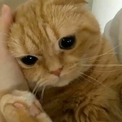 Mimi<3