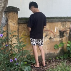 Anh Thế