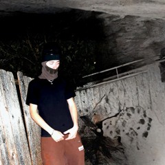 ryanrunit