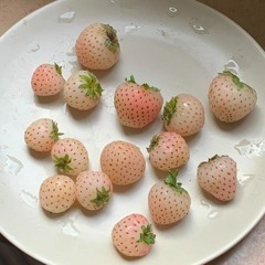 𝐝𝐚𝐧𝐨𝐧𝐜𝐚𝐥𝐯𝐞