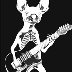 Stevie and the Street Dogs