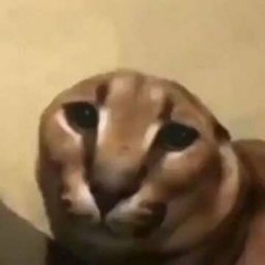 ssssopaaaaa pspssppspppspsps