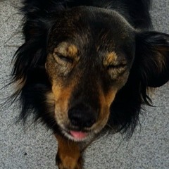 teco