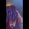 Brittbratt215