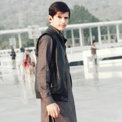 shah khan