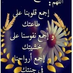 Ali Yassen