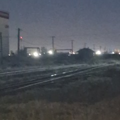 The Cyanide Butterflies