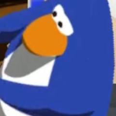 toyoonzc