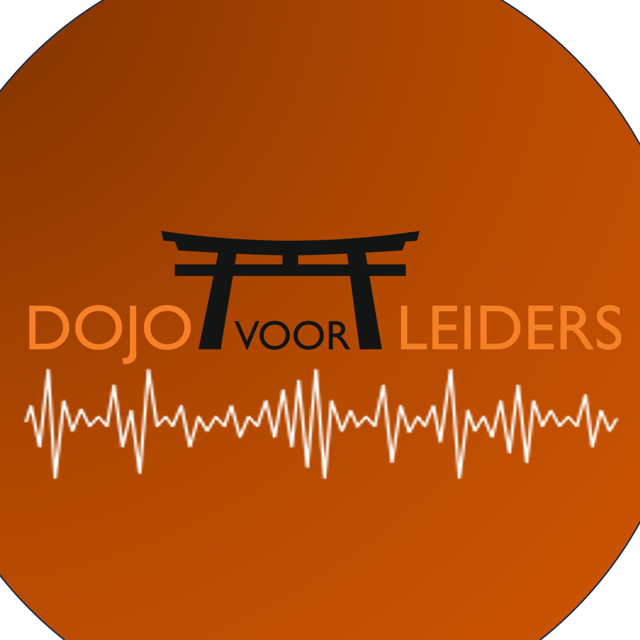 Dojo voor Leiders