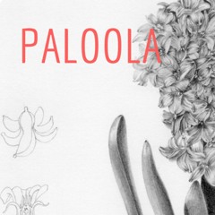 Paloola
