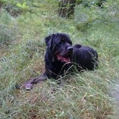 Naomi Armstrong-hill