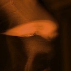 RRA!DEN (@_rraiden_)