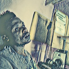 Mr Ark