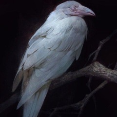UILLGREAM