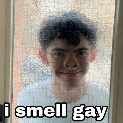 i-smell-gay’s avatar