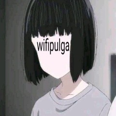 wifipulga