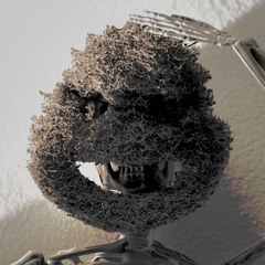 FleshSphere