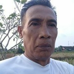 Bambang Faridzi