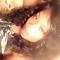 Eboni Breeze