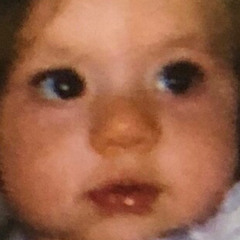 🐊🦟🐊🦟🐊🦟