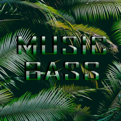 Music Bass’s avatar