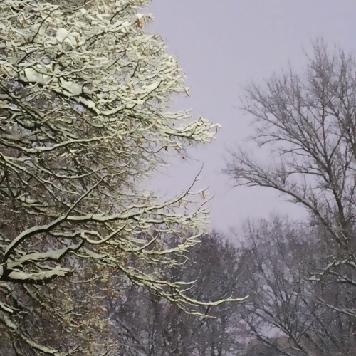 hammer balenci - pepel nahudi