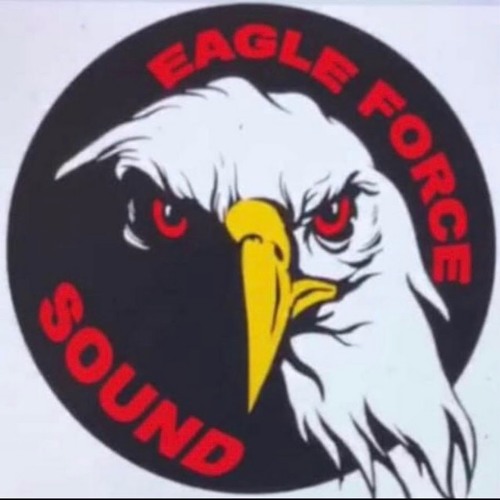 Eagle Force’s avatar