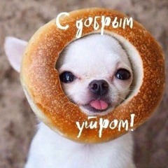 вовка
