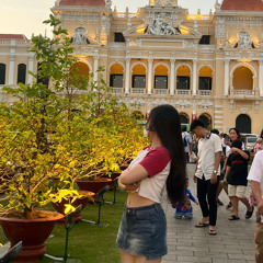 Dương Tô